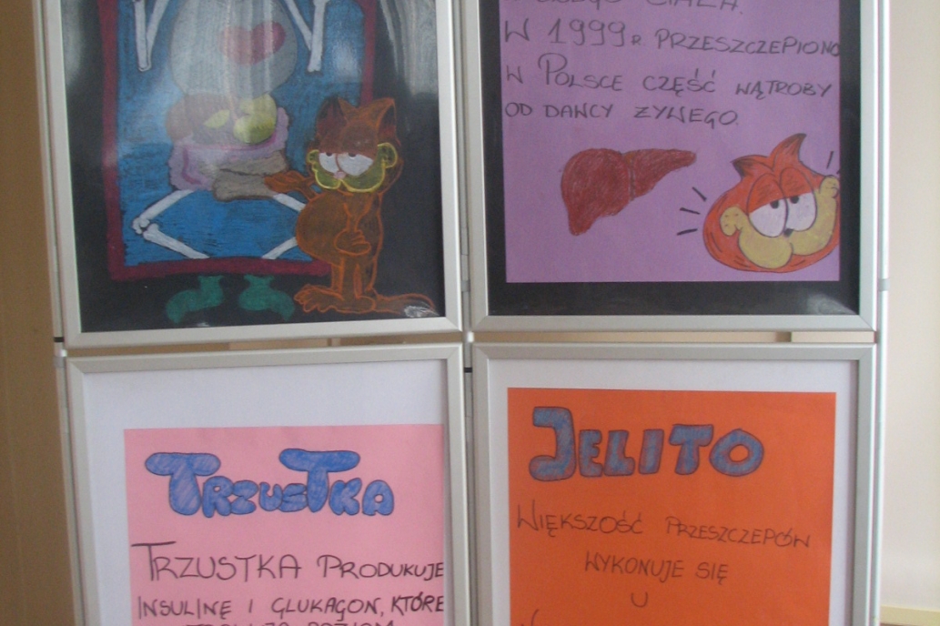 picture